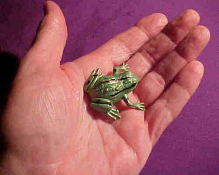 TWO-FROGS-3