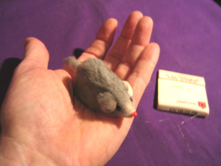 14-B-MOUSETRAP-MOUSE