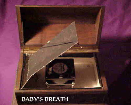 BABYS-BREATH