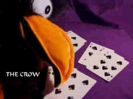 THE-CROW-1